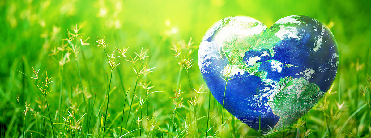 globe vegegarians